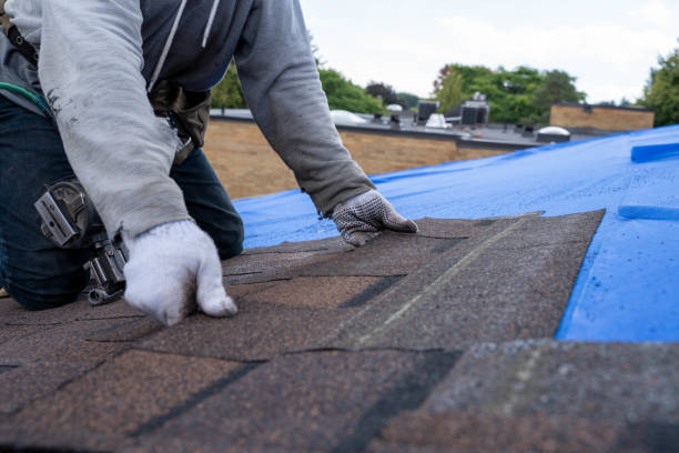 Best Metal Roofing Contractor  in Twin Lakes, CA